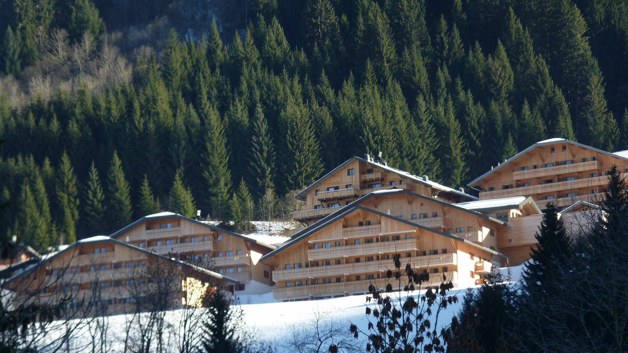 Residence Nemea Le Grand Lodge Châtel Dış mekan fotoğraf