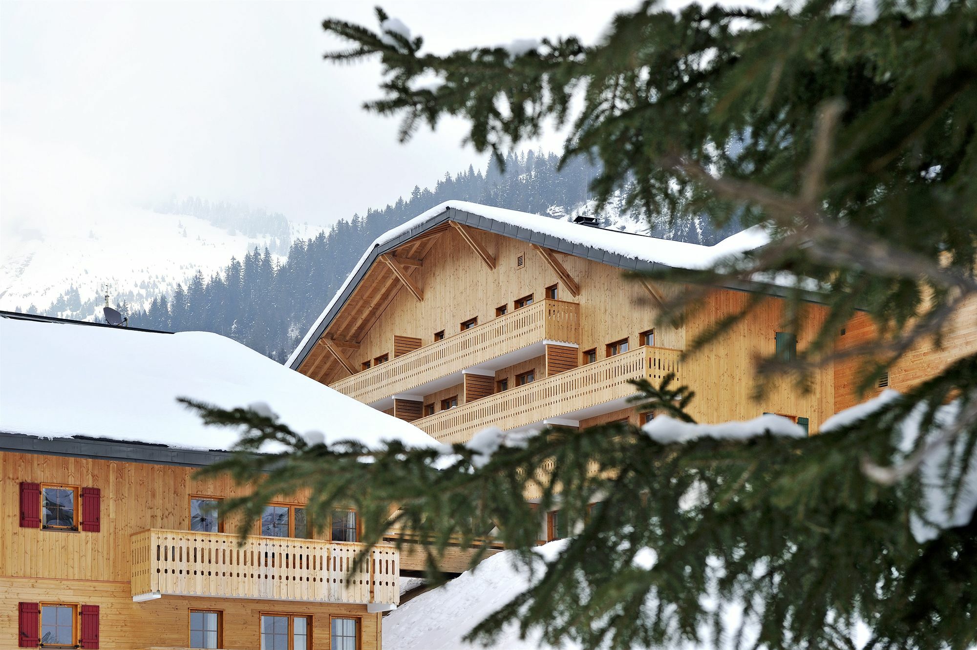 Residence Nemea Le Grand Lodge Châtel Dış mekan fotoğraf
